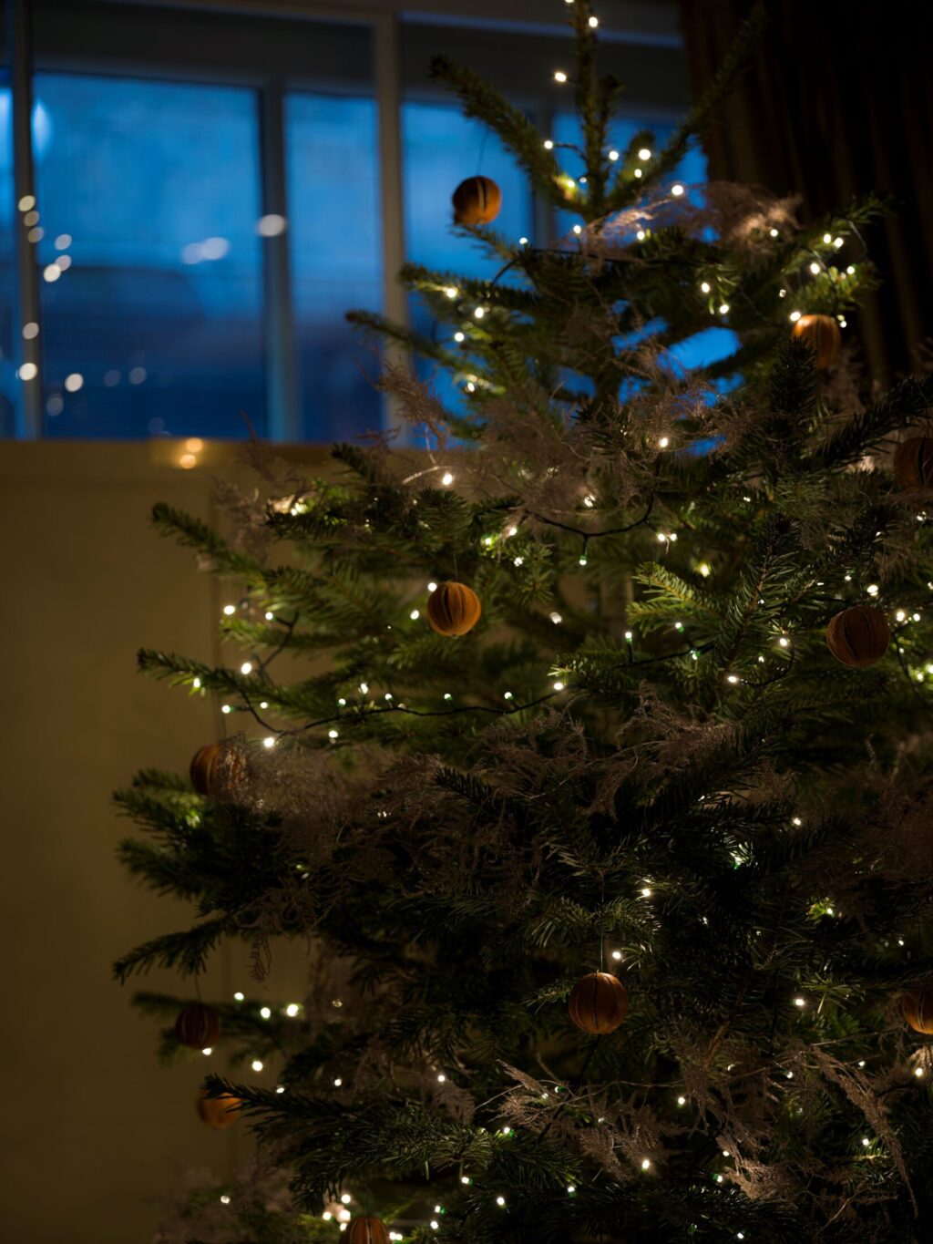 A softly lit Christmas tree at Hazlitt’s decorated with warm white fairy lights and dried orange ornaments, with a cool blue window glow in the background.